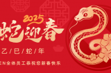 辭舊迎新，蛇舞華章丨深圳容金科技全體員工祝您新春快樂！